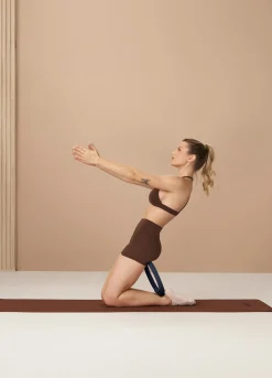 Toning Pilates Ring